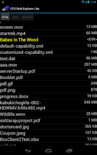 OTG Disk Explorer Lite