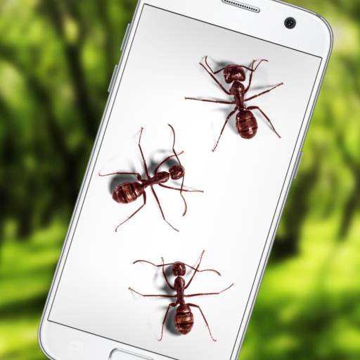 Ants on Screen Funny Joke - Apps on Google Play