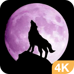 Wolf Wallpapers HD & Free Were - Apps on Google Play