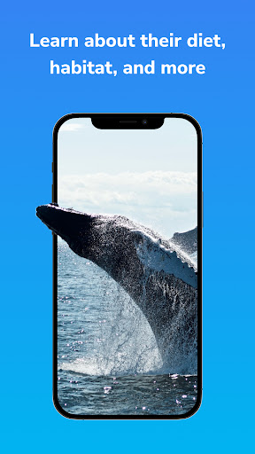 Virtual Safari Screen 2