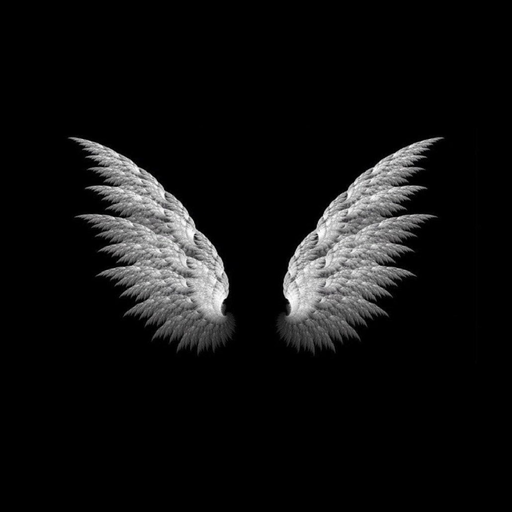 black background logo