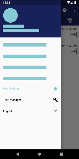 skadii Screen 2