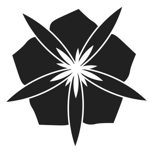 USI-MDM logo