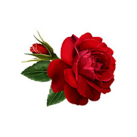 Flowers and Roses Live Wallpaper