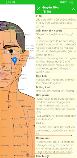 Tuệ Y Screen 2