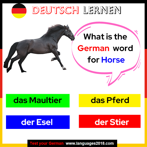 Deutsch Lernen - Learn German Screen 2