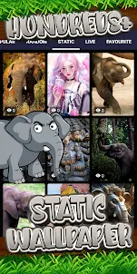 elephant wallpaper