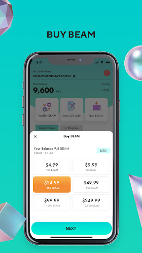 BEAM Wallet Screen 3