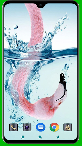 Flamingo Wallpaper Screenshot 1 - AppWisp.com