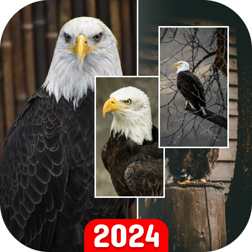 Eagle Wallpapers HD: 4K FHD logo