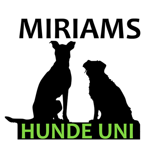 Miriams Hunde Uni
