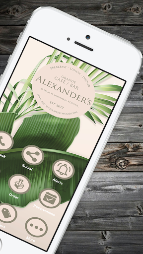 Alexanders Screen 2