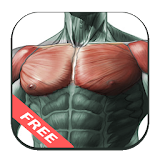 Best Chest Workout icon