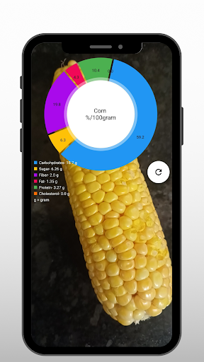 Food Nutri Pie Screen 3