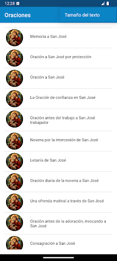 Vista previa de la aplicación