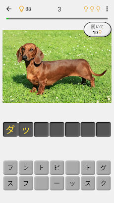 犬 - すべての一般的な犬の品種に関するクイズのおすすめ画像2