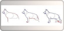 Learn how to draw a dog easy APK