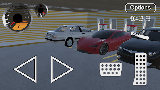 Electric Car Mad EV Simulator