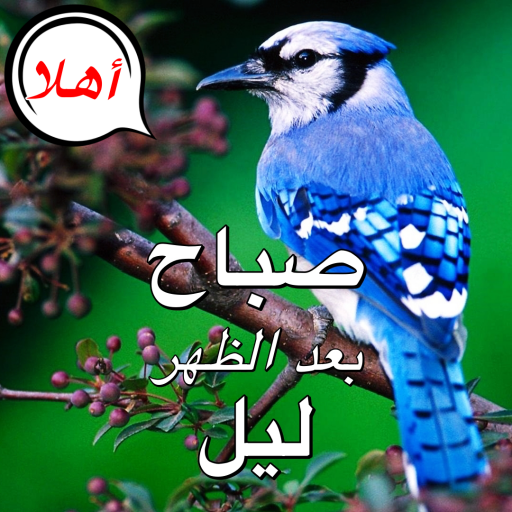 Arabic Good Morning to Night - AppWisp.com