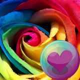 Beautiful Roses HD Wallpapers icon