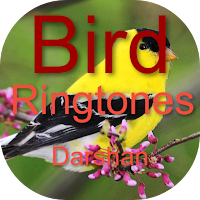Bird Ringtones Darshan