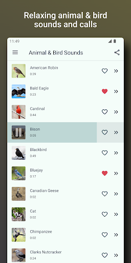 Android application Bird and Animal sounds screenshort