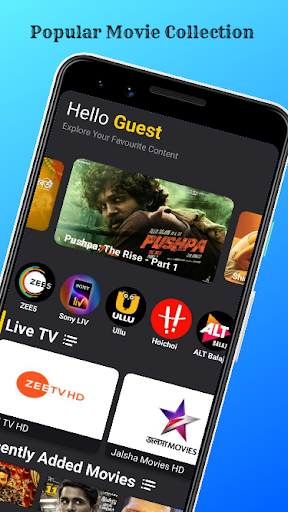 MovieHub Movies  Web Series