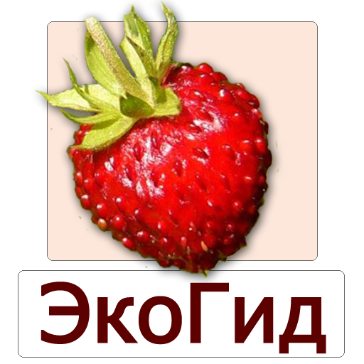 ЭкоГид: Ягоды - Определитель تنزيل على نظام Windows