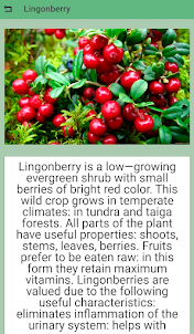 Useful berries