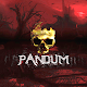 Pandum MMORPG Free to play ดาวน์โหลดบน Windows