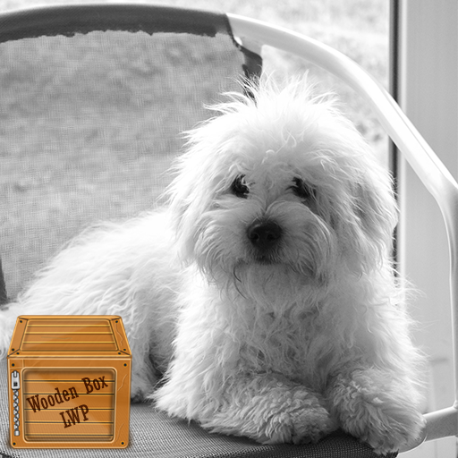 white dog wallpaper logo
