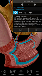 Physiology & Pathology(圖5)-速報App