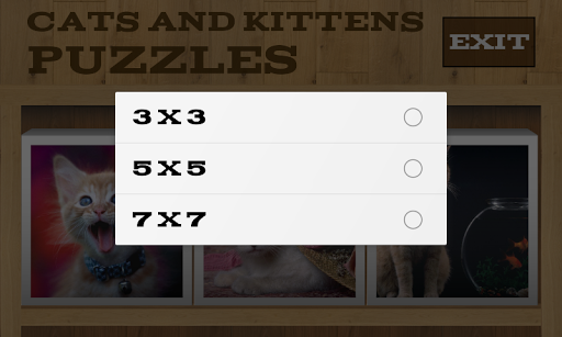 Cats and Kittens Puzzles