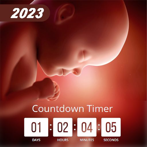 Due Date Countdown Pregnancy 9.0 Icon