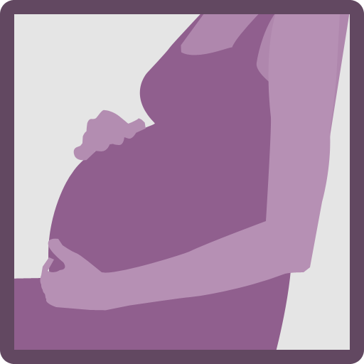 Pregnancy Countdown 0.0.5 Icon