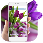 HD Purple Tulip Wallpaper  Icon