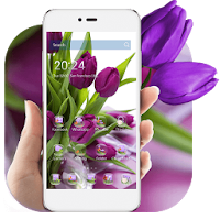 HD Фиолетовый тюльпан обои