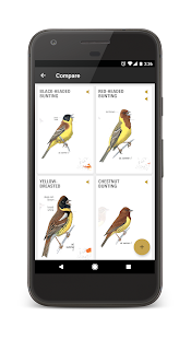 Екранна снимка на ръководството за птици Collins