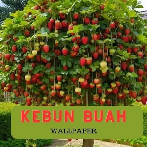 Kebun Buah Wallpaper