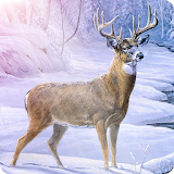 Archery Animal Hunter icon
