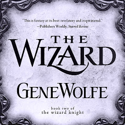 Icon image The Wizard: Book Two of The Wizard Knight