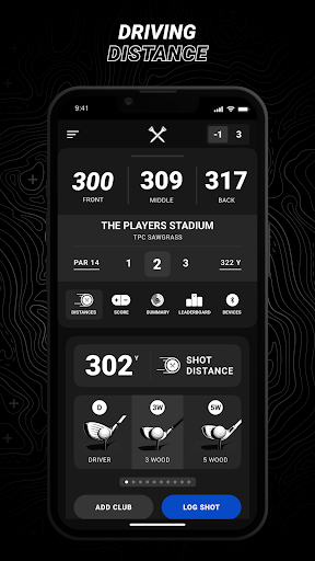 Screenshot of Blue Tees Game