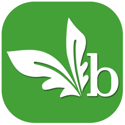 Veg Baket logo