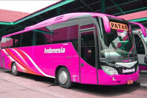 Android application Bus Patas Wallpaper screenshort