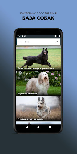 Android application Pets – Описание пород собак screenshort
