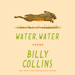 Icon image Water, Water: Poems