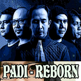 PADI REBORN icon
