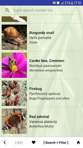 Nature - Oceania Screen 2