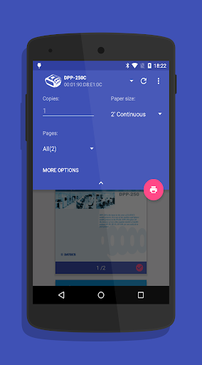 Datecs Print Service Screen 2