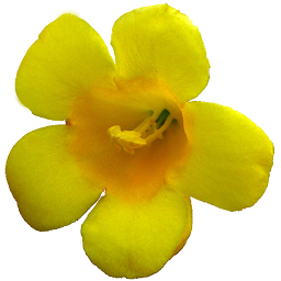 Icon image South Carolina Wildflowers